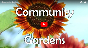 Community Gardens Video Screenshot.